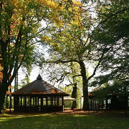 Palace Лежно