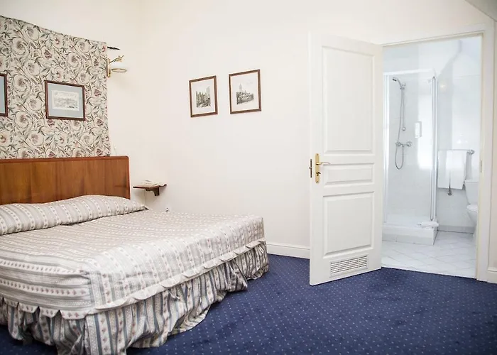 Palace 住宿加早餐酒店 莱兹诺