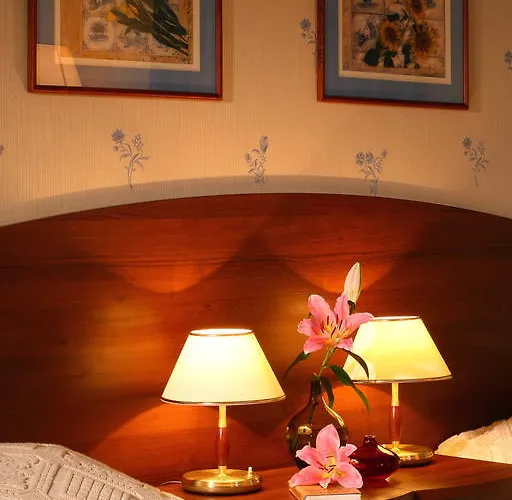 Palace 住宿加早餐酒店 莱兹诺