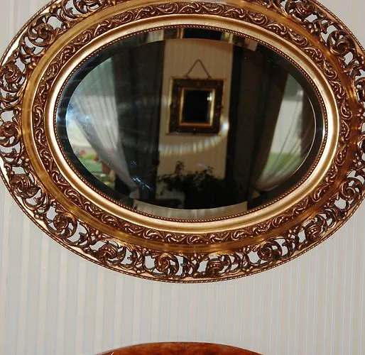 Palace 住宿加早餐酒店 莱兹诺