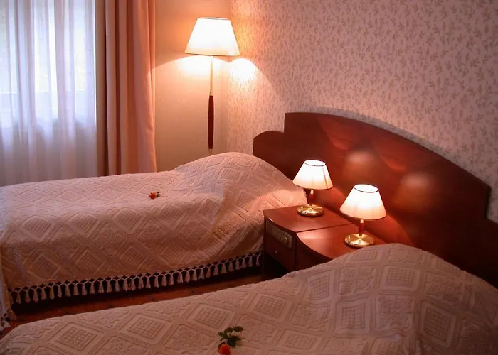 Palace 住宿加早餐酒店 莱兹诺