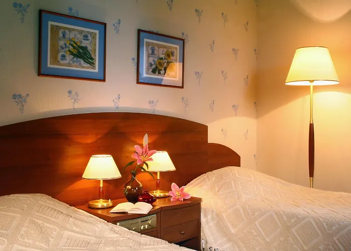 住宿加早餐酒店 Palace 莱兹诺