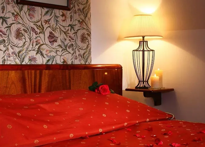 住宿加早餐酒店 Palace 莱兹诺